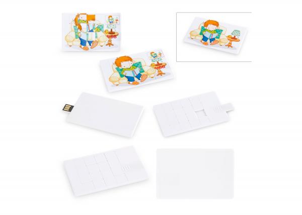 USB Tarjeta Puzzle USB058