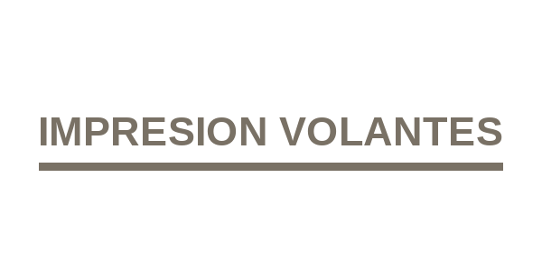 IMPRESION VOLANTES
