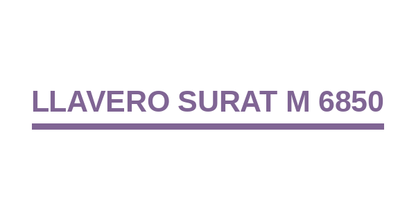 Llavero Surat M 6850